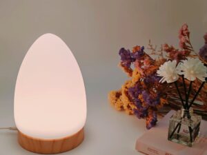 CHONDAGLOW HEALING LAMP APPLICATION